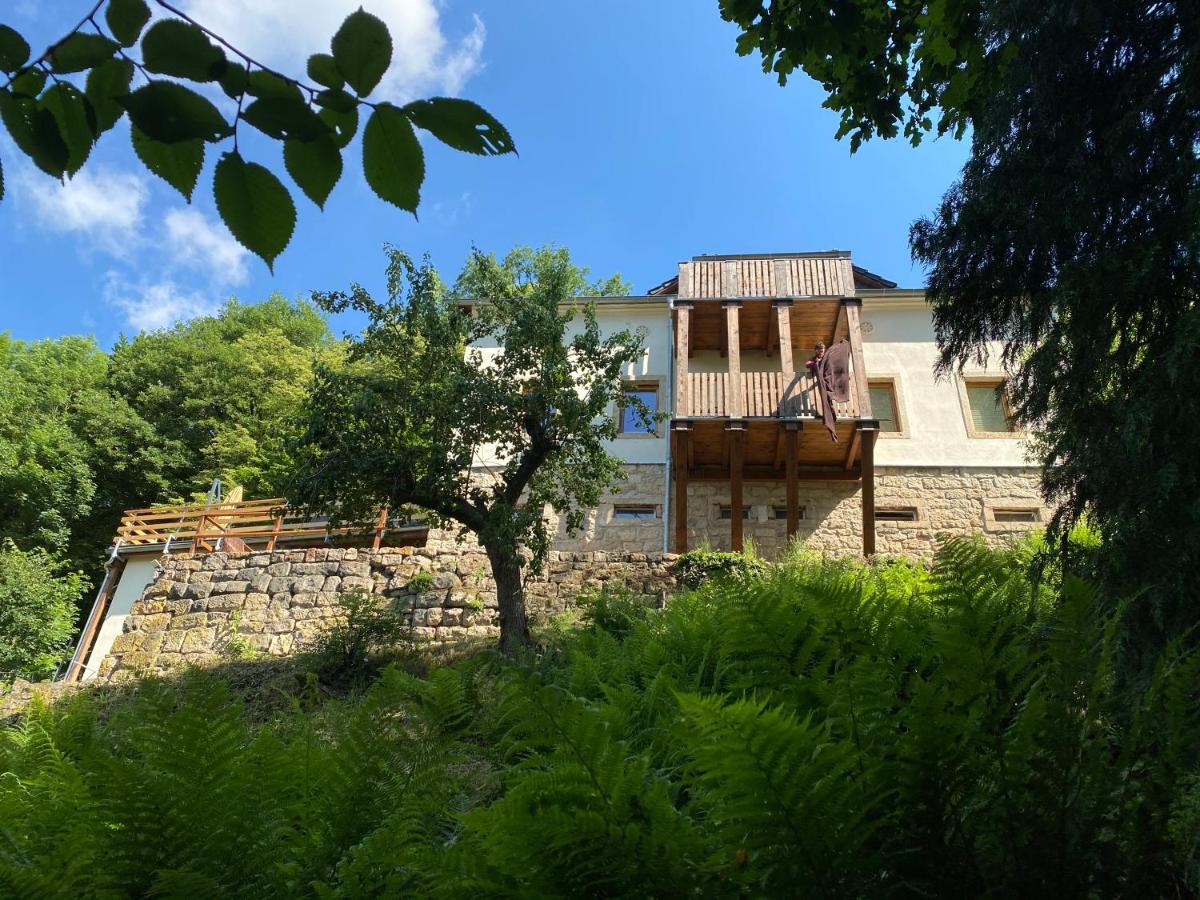 Luxusboofe - Ferienhaus Am Lilienstein Königstein an der Elbe Dış mekan fotoğraf